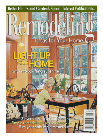 <em>Remodeling Ideas for your Home</em>