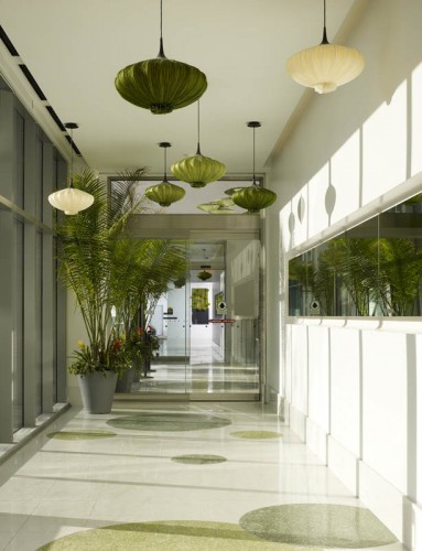 Modern Inspired Interior Design For Commercial Builder